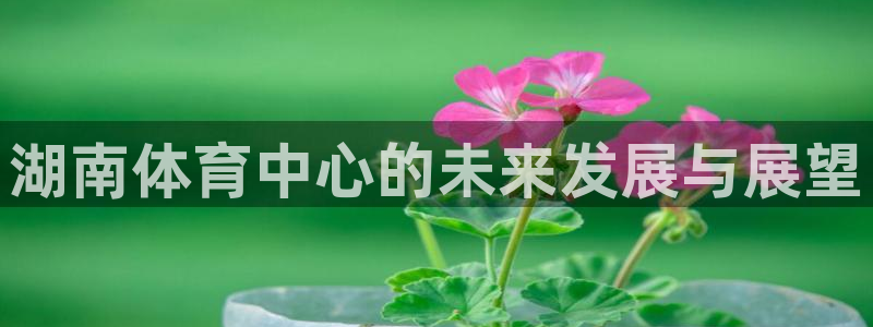 意昂体育4招商电话地址查询