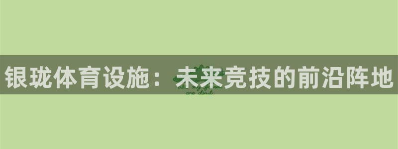 意昂4开户：银珑体育设施：未来竞技的前沿阵地