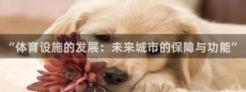 意昂体育4招商电话是多少啊