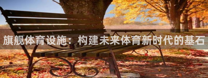 意昂体育4平台假的吗是真的吗：旗舰体育设施：构建未来体育新时