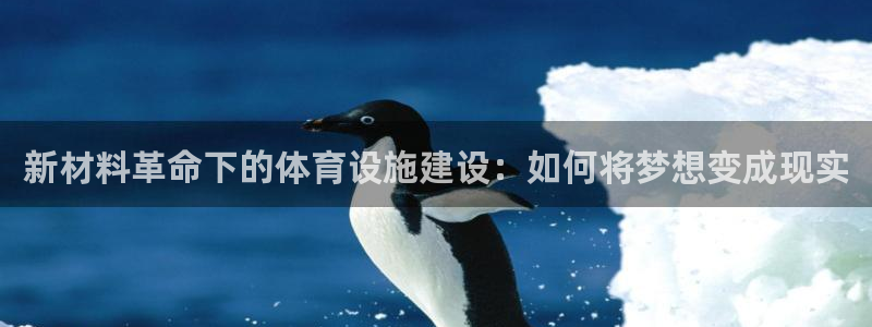 意昂4娱乐网站：新材料革命下的体育设施建设：如何将梦想变成现