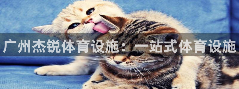 意昂4集团：广州杰锐体育设施：一站式体育设施