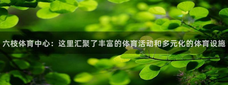 意昂体育4平台注册要钱吗安全吗：六枝体育中心：这里汇