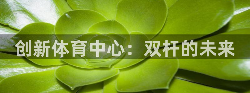 意昂体育4平台APP：创新体育中心：双杆的未来