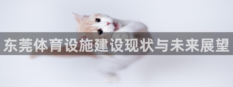 意昂4集团官网首页网址：东莞体育设施建设现状与未来展