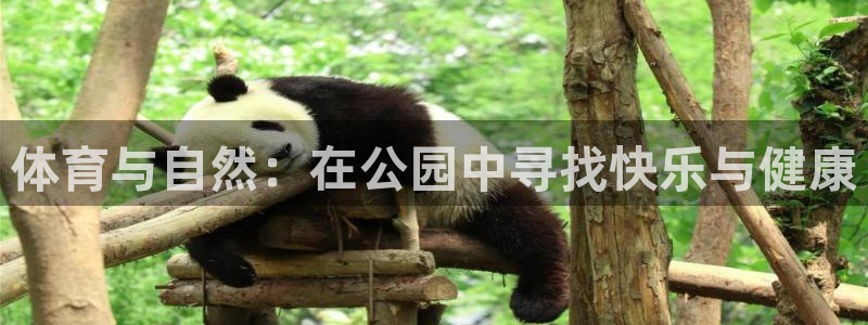 意昂体育4娱乐：体育与自然：在公园中寻找快乐与健康