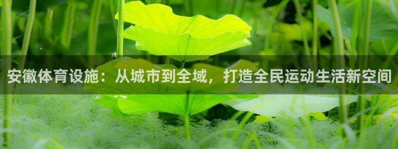 意昂体育4招商电话地址是多少
