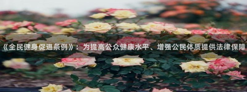 意昂4五金厂：《全民健身促进条例》：为提高公众健康水