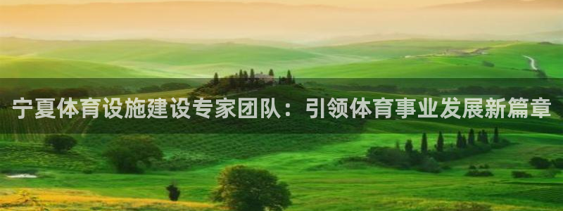 意昂4娱乐首页网站大全：宁夏体育设施建设专家团队：引
