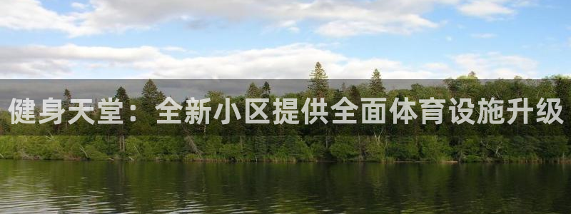 意昂4集团简介