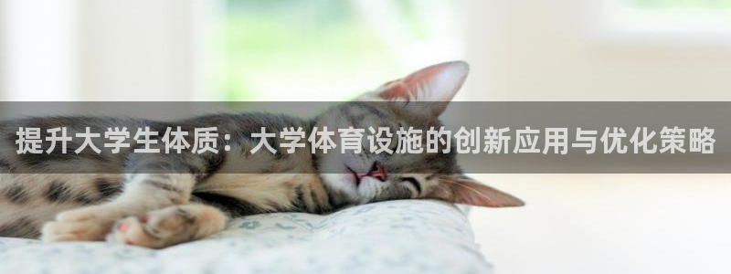 意昂4官网