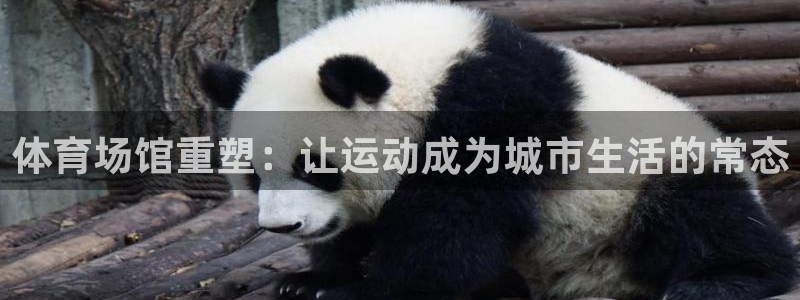 意昂体育4招商电话地址是多少