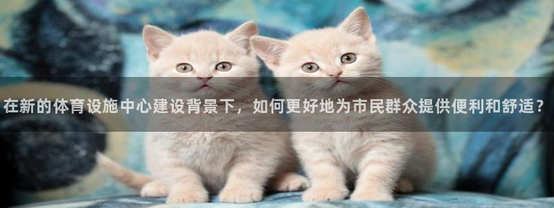 意昂4娱乐代理怎么样：在新的体育设施中心建设背景下，