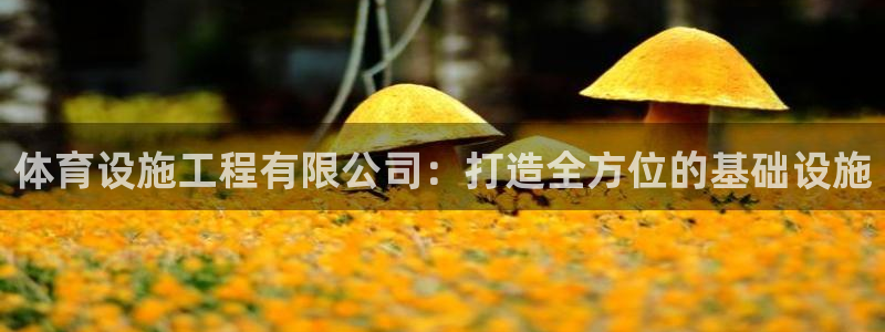 意昂集团官网