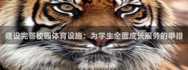 意昂4娱乐代理怎么样