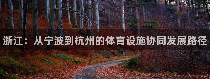 意昂4集团简介