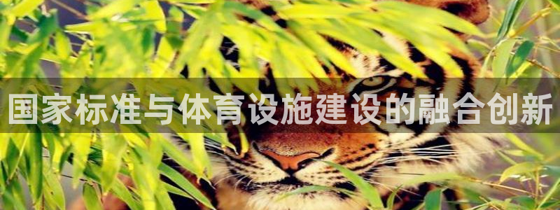 意昂体育4软件