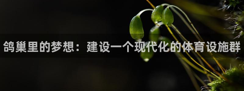 意昂体育4招商电话号码