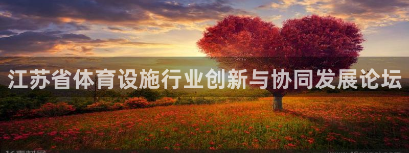 意昂体育4平台注册要钱吗安全吗：江苏省体育设施行业创新与协同