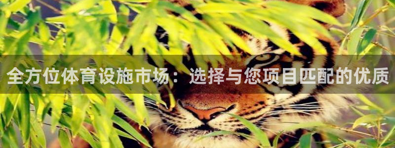 意昂体育4平台是正规平台吗知乎：全方位体育设施市场：选择与您