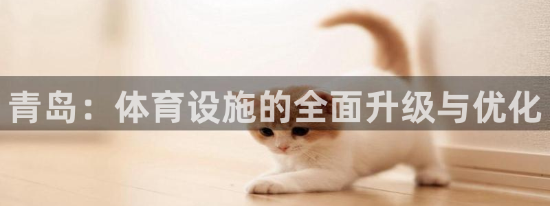 意昂体育4娱乐：青岛：体育设施的全面升级与优化