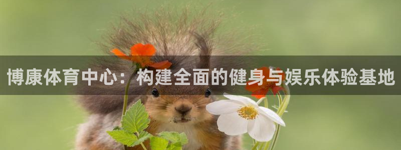 意昂体育4平台注册流程视频：博康体育中心：构建全面的健身与娱