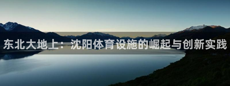 意昂体育4软件：东北大地上：沈阳体育设施的崛起与创新实践
