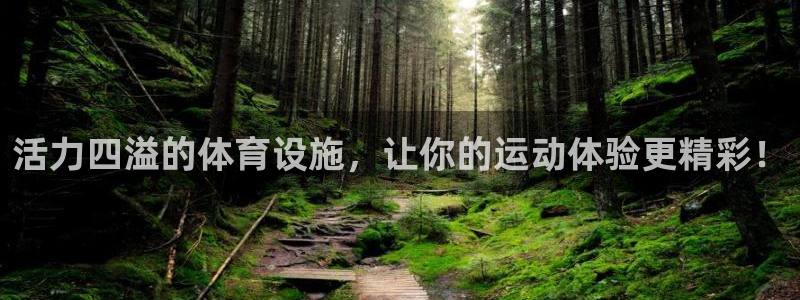 意昂体育4招商电话是多少号码：活力四溢的体育设施，让你的运动