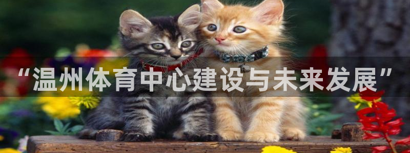 意昂4开户：“温州体育中心建设与未来发展”
