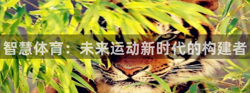 意昂4娱乐网站：智慧体育：未来运动新时代的构建者 