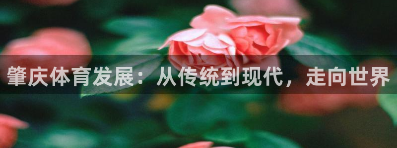 意昂4集团官网网址：肇庆体育发展：从传统到现代，走向世界