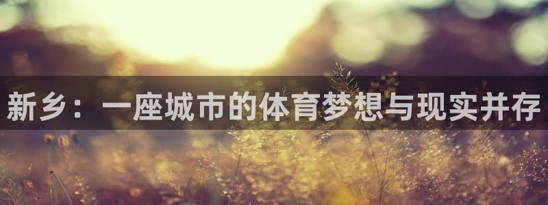 意昂平台体育：新乡：一座城市的体育梦想与现实并存