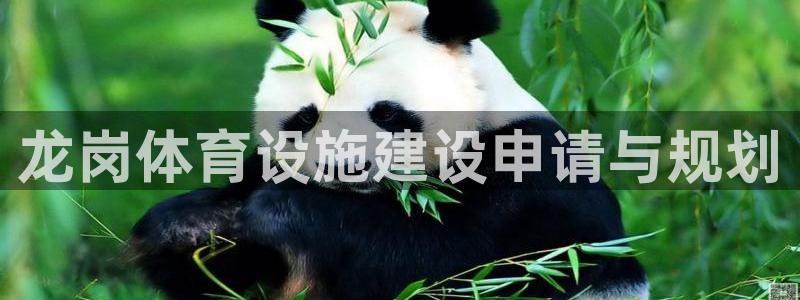 意昂4娱乐首页官网下载：龙岗体育设施建设申请与规划