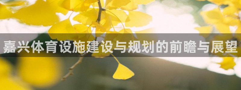 海南意昂体育4：嘉兴体育设施建设与规划的前瞻与展望