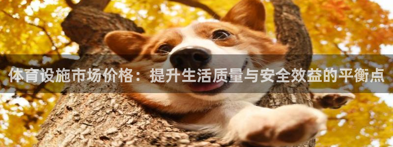 意昂体育4招商电话：体育设施市场价格：提升生活质量与