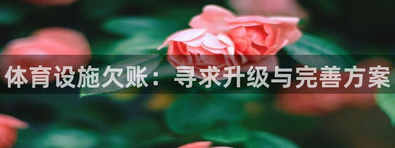 意昂体育4平台是正规平台吗安全吗：体育设施欠账：寻求