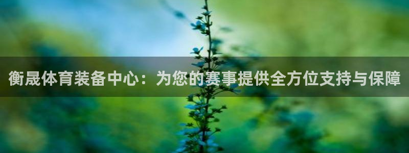 意昂体育4招商电话：衡晟体育装备中心：为您的赛事提供全方位支