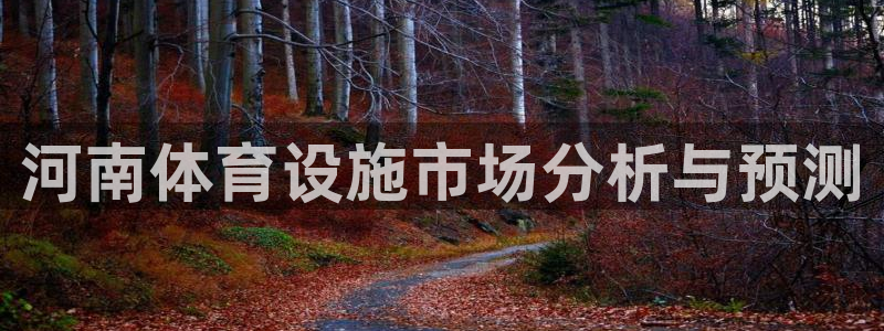 海南意昂体育4