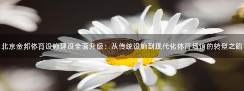 意昂体育4平台假的吗是真的吗吗：北京金邦体育设施建设