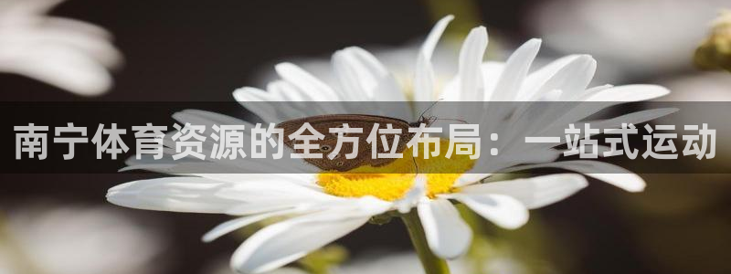 意昂体育4招商电话号码是多少号：南宁体育资源的全方位