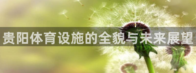 意昂4科技：贵阳体育设施的全貌与未来展望