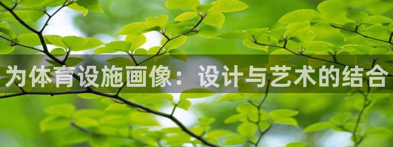 海南意昂体育4发展怎么样：为体育设施画像：设计与艺术的结合