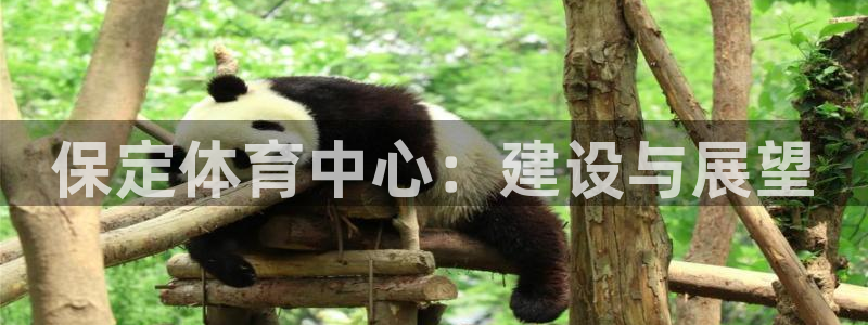 意昂4集团：保定体育中心：建设与展望