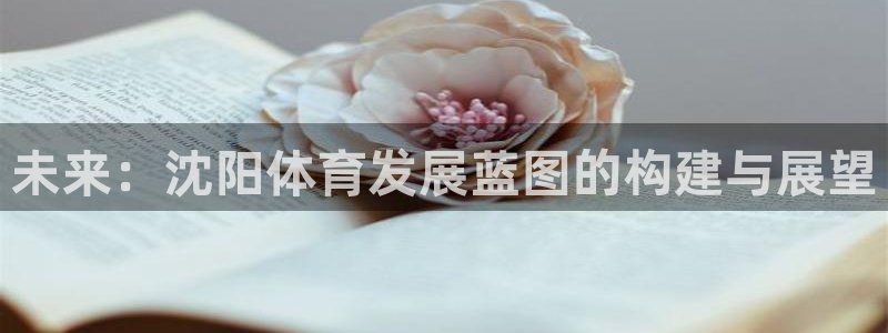 意昂体育4招商电话号码查询是多少：未来：沈阳体育发展蓝图的构