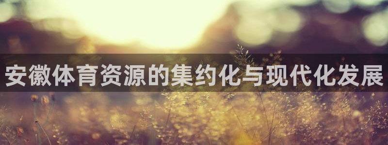 意昂体育4平台注册要钱吗：安徽体育资源的集约化与现代化发展