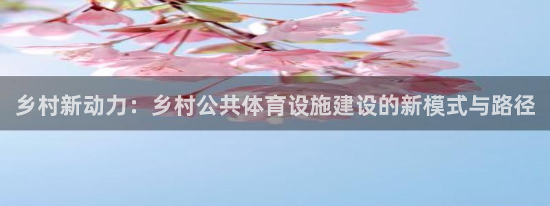 意昂体育4招商电话地址是多少：乡村新动力：乡村公共体育设施建