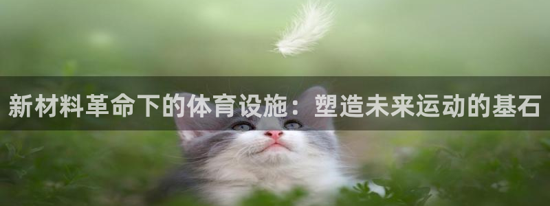 意昂4娱乐首页网站大全：新材料革命下的体育设施：塑造未来运动