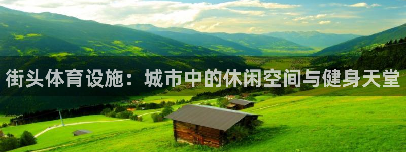 意昂体育4招商电话：街头体育设施：城市中的休闲空间与健身天堂