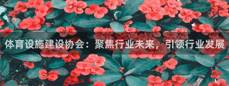 意昂体育4平台APP：体育设施建设协会：聚焦行业未来