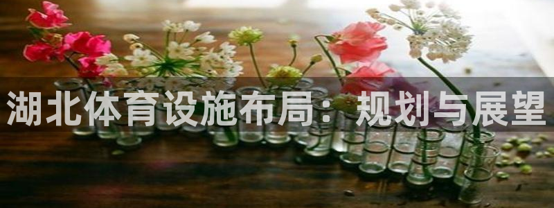 意昂4集团简介：湖北体育设施布局：规划与展望